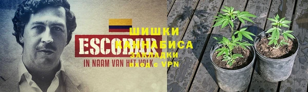 COCAINE Алексеевка