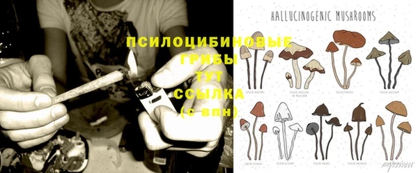 мяу мяу кристалл Алексин